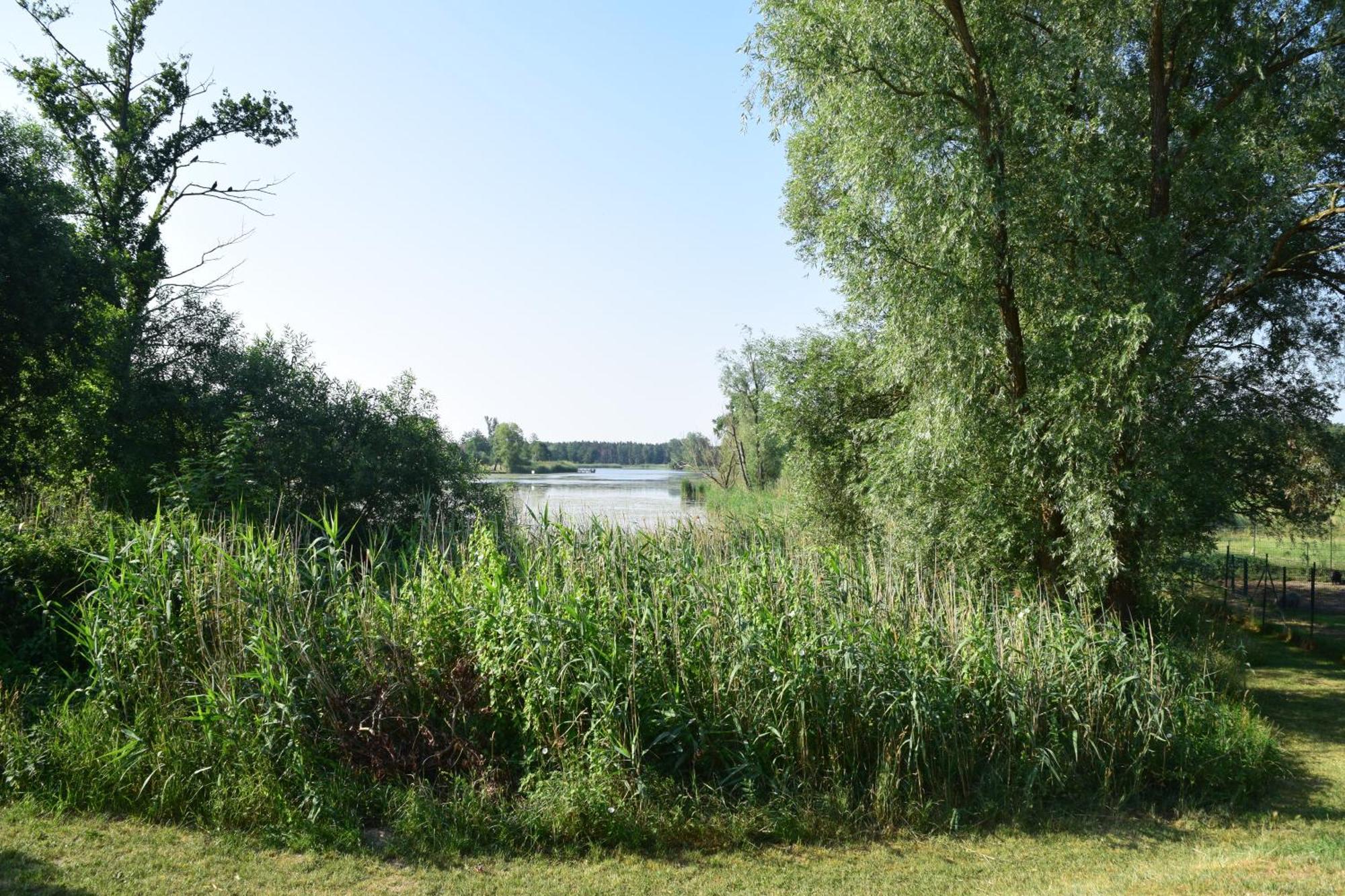 Land-Gut-Hotel Seeblick Klietz Eksteriør bilde